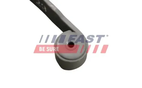 Federblatt Hinterachse links Hinterachse rechts FAST FT13376 Bild Federblatt Hinterachse links Hinterachse rechts FAST FT13376