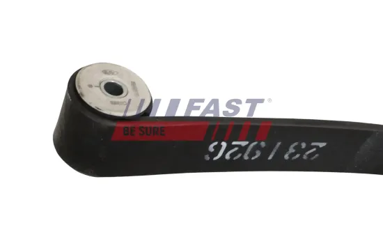 Federblatt FAST FT13381 Bild Federblatt FAST FT13381