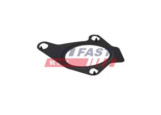 Dichtung, Ansaugkrümmer FAST FT13429 Bild Dichtung, Ansaugkrümmer FAST FT13429