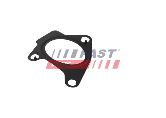 Dichtung, Ansaugkrümmer FAST FT13429 Bild Dichtung, Ansaugkrümmer FAST FT13429