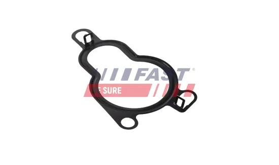 Türschloss vorne rechts vorne rechts FAST FT95115 Bild Türschloss vorne rechts vorne rechts FAST FT95115