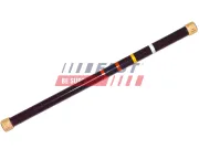 Stiftschraube, Drehstab Hinterachse rechts FAST FT13526