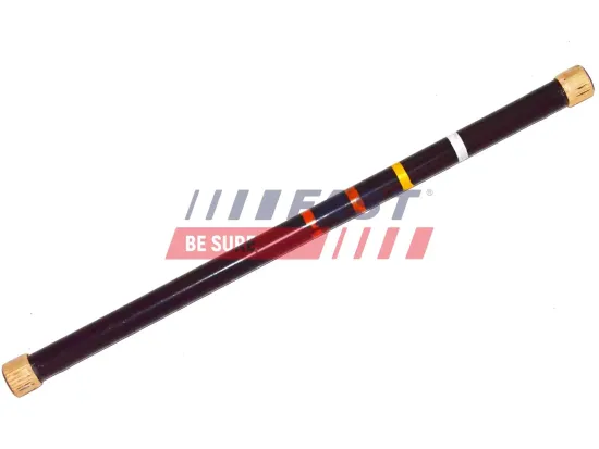 Stiftschraube, Drehstab Hinterachse rechts FAST FT13526 Bild Stiftschraube, Drehstab Hinterachse rechts FAST FT13526