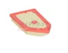 Luftfilter FAST FT13665 Bild Luftfilter FAST FT13665