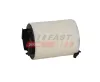 Luftfilter FAST FT13717