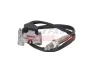 NOx-Sensor, Harnstoffeinspritzung FAST FT13948