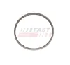 Dichtung, Abgasrohr FAST FT14365
