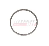 Dichtung, Abgasrohr FAST FT14365
