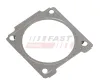 Dichtung, Abgasrohr Abgaskr&uuml;mmer FAST FT14368