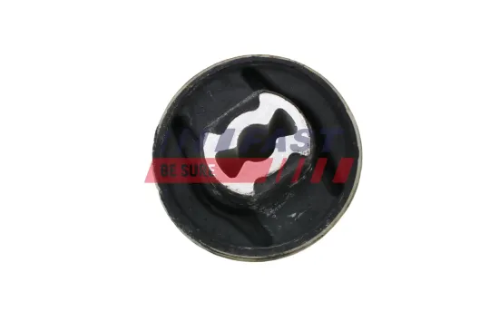 Lagerung, Lenker unten Vorderachse links Vorderachse rechts FAST FT18055 Bild Lagerung, Lenker unten Vorderachse links Vorderachse rechts FAST FT18055