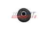 Lagerung, Lenker Hinterachse beidseitig FAST FT18107 Bild Lagerung, Lenker Hinterachse beidseitig FAST FT18107