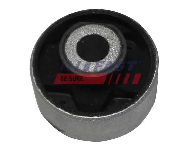 Lagerung, Lenker Vorderachse beidseitig hinten beidseitig Vorderachse FAST FT18309