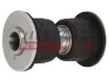 Lagerung, Blattfeder Hinterachse beidseitig FAST FT18316