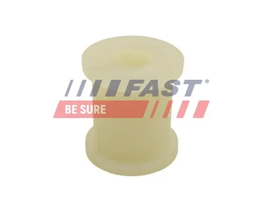 Lagerbuchse, Stabilisator Hinterachse rechts Hinterachse links FAST FT18466