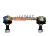 Stange/Strebe, Stabilisator Hinterachse links Hinterachse rechts FAST FT20508