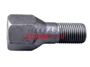 Radbolzen FAST FT21506