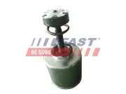 Kolben, Bremssattel Hinterachse FAST FT32289