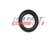 Reparatursatz, Bremssattel Hinterachse FAST FT32483