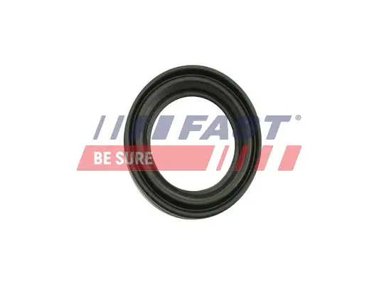 Reparatursatz, Bremssattel Hinterachse FAST FT32483 Bild Reparatursatz, Bremssattel Hinterachse FAST FT32483