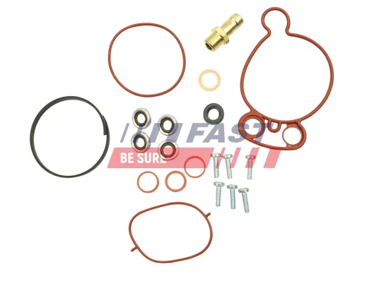 Reparatursatz, Unterdruckpumpe (Bremsanlage) FAST FT36031 Bild Reparatursatz, Unterdruckpumpe (Bremsanlage) FAST FT36031