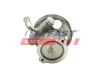 Hydraulikpumpe, Lenkung FAST FT36236 Bild Hydraulikpumpe, Lenkung FAST FT36236