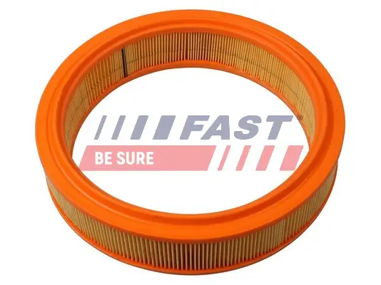 Luftfilter FAST FT37073 Bild Luftfilter FAST FT37073