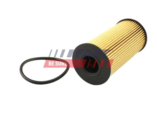 Ölfilter FAST FT38031 Bild Ölfilter FAST FT38031