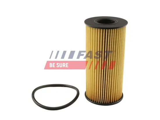 Ölfilter FAST FT38031 Bild Ölfilter FAST FT38031