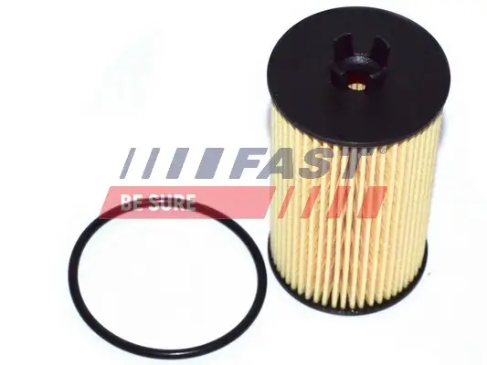 Ölfilter FAST FT38066 Bild Ölfilter FAST FT38066