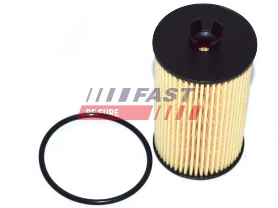 Ölfilter FAST FT38066 Bild Ölfilter FAST FT38066
