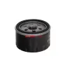 Ölfilter FAST FT38079 Bild Ölfilter FAST FT38079