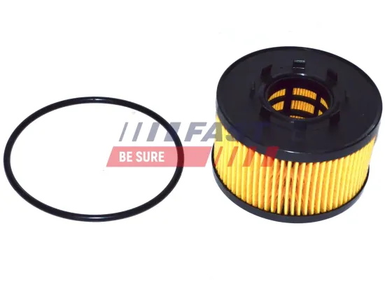 Ölfilter FAST FT38086 Bild Ölfilter FAST FT38086