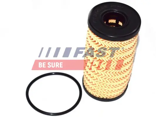 Ölfilter FAST FT38095 Bild Ölfilter FAST FT38095