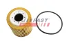 Ölfilter FAST FT38100 Bild Ölfilter FAST FT38100