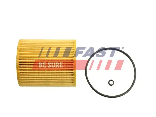 Ölfilter FAST FT38101 Bild Ölfilter FAST FT38101