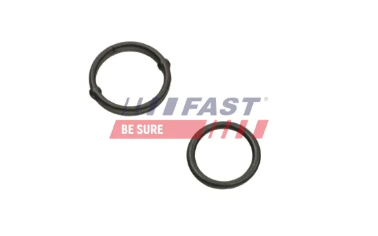Dichtung, Ölpumpe FAST FT38804 Bild Dichtung, Ölpumpe FAST FT38804
