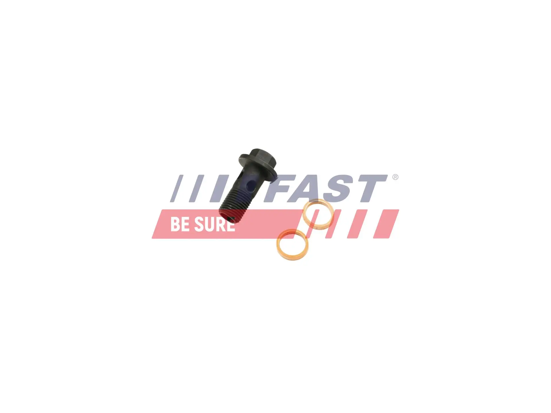 Hohlschraube, Lader FAST FT38931
