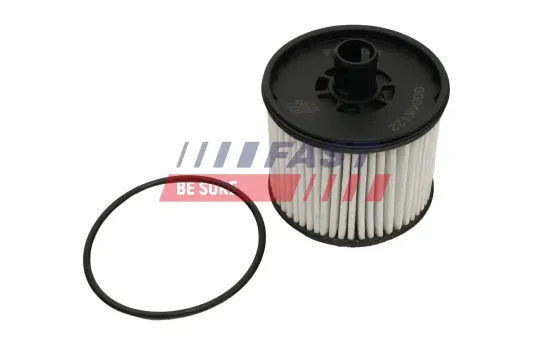 Kraftstofffilter FAST FT39123 Bild Kraftstofffilter FAST FT39123