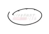 Schlauch, Leckkraftstoff FAST FT39502 Bild Schlauch, Leckkraftstoff FAST FT39502