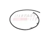 Schlauch, Leckkraftstoff FAST FT39502 Bild Schlauch, Leckkraftstoff FAST FT39502