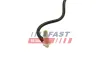 Entlüftungsschlauch, Kraftstofftank FAST FT39586 Bild Entlüftungsschlauch, Kraftstofftank FAST FT39586