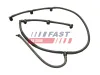 Schlauch, Leckkraftstoff FAST FT39635 Bild Schlauch, Leckkraftstoff FAST FT39635