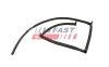 Schlauch, Leckkraftstoff FAST FT39666