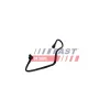 Schlauch, Leckkraftstoff FAST FT39674 Bild Schlauch, Leckkraftstoff FAST FT39674