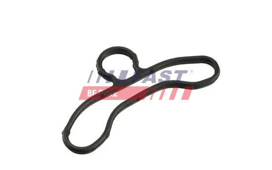 Dichtung, Steuergehäuse FAST FT41604 Bild Dichtung, Steuergehäuse FAST FT41604