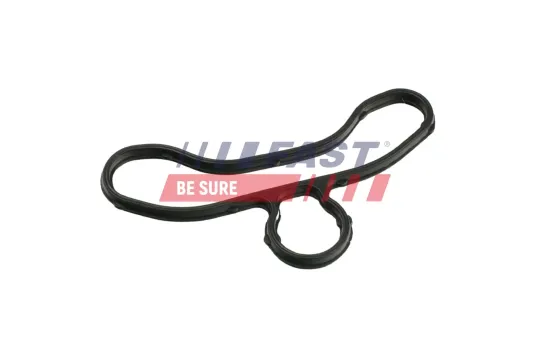 Dichtung, Steuergehäuse FAST FT41604 Bild Dichtung, Steuergehäuse FAST FT41604