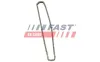 Steuerkette FAST FT41808 Bild Steuerkette FAST FT41808