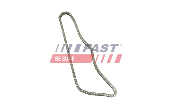 Steuerkette FAST FT41808 Bild Steuerkette FAST FT41808