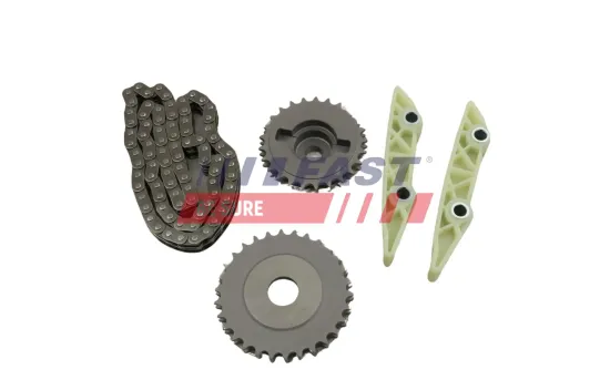 Steuerkettensatz FAST FT41920 Bild Steuerkettensatz FAST FT41920