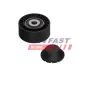 Spannrolle, Keilrippenriemen FAST FT44563 Bild Spannrolle, Keilrippenriemen FAST FT44563
